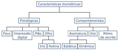 Caracter�sticas