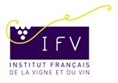 Instituto Franc�s da Vinha e do Vinho